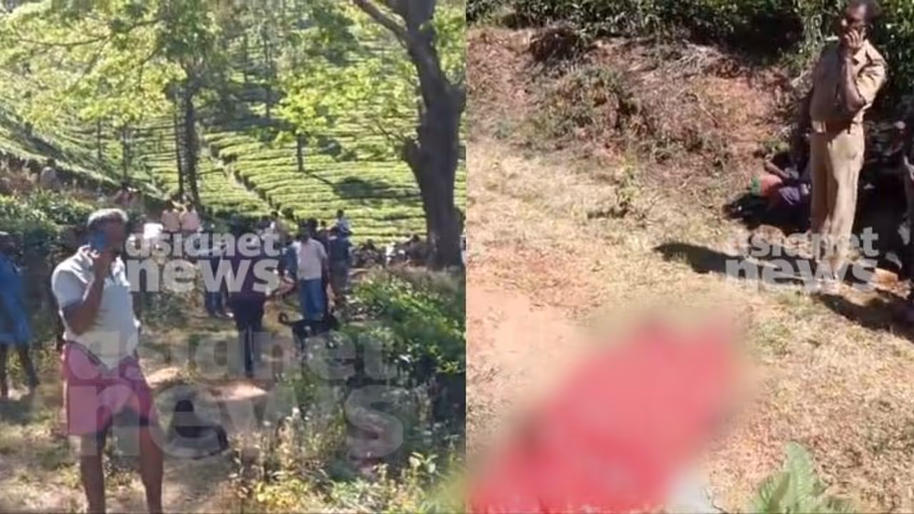 Kerala: Man killed in wild elephant attack in Wayanad, seventh death in 40 days Kerala: Man killed in wild elephant attack in Wayanad, seventh death in 40 days