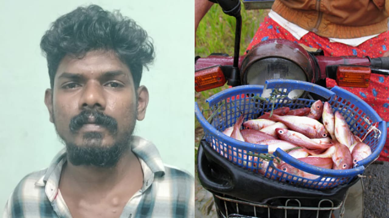 വീടിന്റെ മുന്നിൽ 'മീനേ മീനേ' എന്ന് വിളിച്ച് കച്ചവടം; ആലപ്പുഴയിൽ മീൻകാരനെ പട്ടികകൊണ്ട് അടിച്ച യുവാവ് പിടിയിൽ വീടിന്റെ മുന്നിൽ 'മീനേ മീനേ' എന്ന് വിളിച്ച് കച്ചവടം; ആലപ്പുഴയിൽ മീൻകാരനെ പട്ടികകൊണ്ട് അടിച്ച യുവാവ് പിടിയിൽ