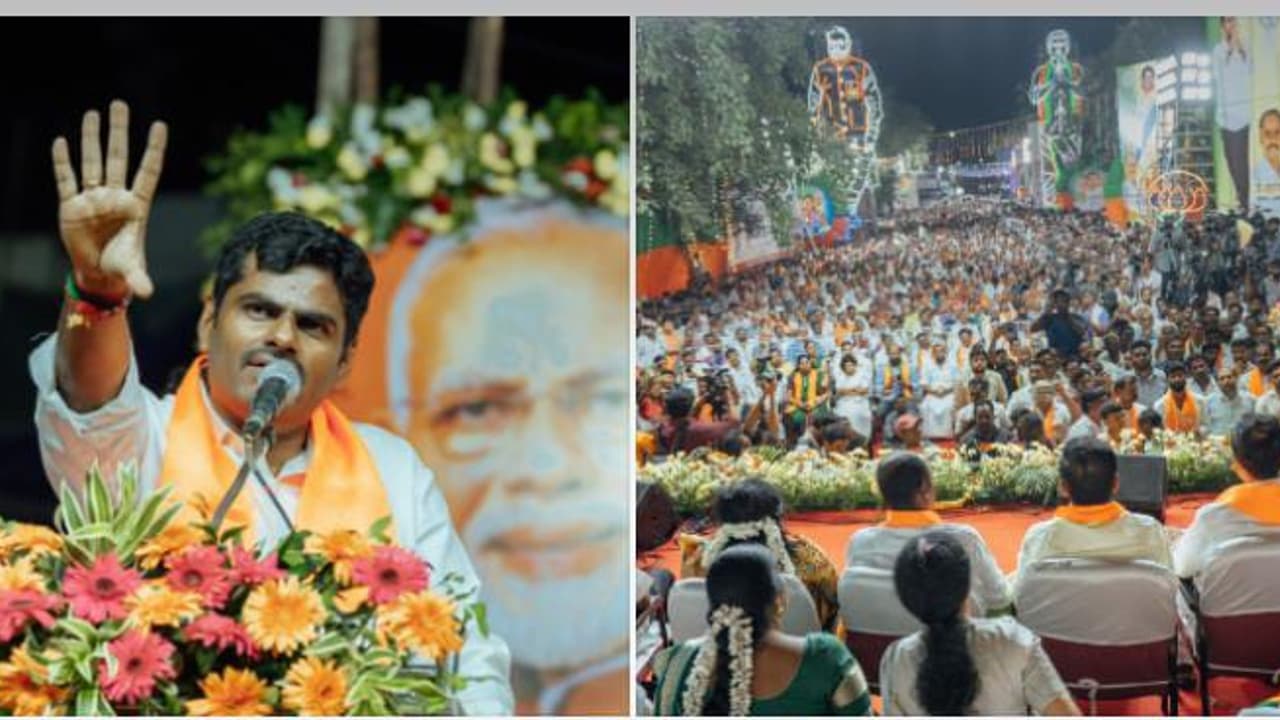  35 அமைச்சர்கள் சிறைக்கு செல்வது உறுதி.! அறிவாலயத்தின் ஒவ்வொரு செங்கலையும் உருவாமல் விடமாட்டேன் அண்ணாமலை