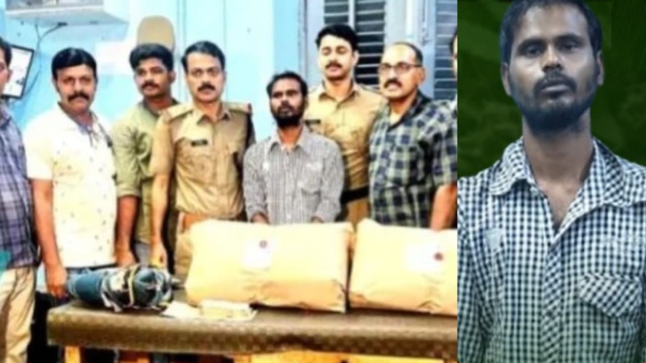 ഇതര സംസ്ഥാന തൊഴിലാളിയെ തടഞ്ഞുനിർത്തി ഷോൾഡർ ബാഗ് പരിശോധിച്ചപ്പോൾ കിട്ടിയത് 10 കിലോ കഞ്ചാവും ഒരു ലക്ഷം രൂപയും ഇതര സംസ്ഥാന തൊഴിലാളിയെ തടഞ്ഞുനിർത്തി ഷോൾഡർ ബാഗ് പരിശോധിച്ചപ്പോൾ കിട്ടിയത് 10 കിലോ കഞ്ചാവും ഒരു ലക്ഷം രൂപയും