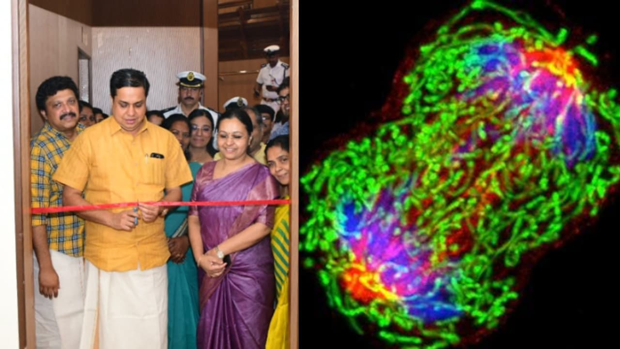  'രോഗത്തിന് മുമ്പില്‍ സമ്പന്നനോ ദരിദ്രനെന്നോ വ്യത്യാസമില്ല' എല്ലാവരും കാന്‍സർ സ്‌ക്രീനിംഗ് നടത്തണം: സ്പീക്കർ