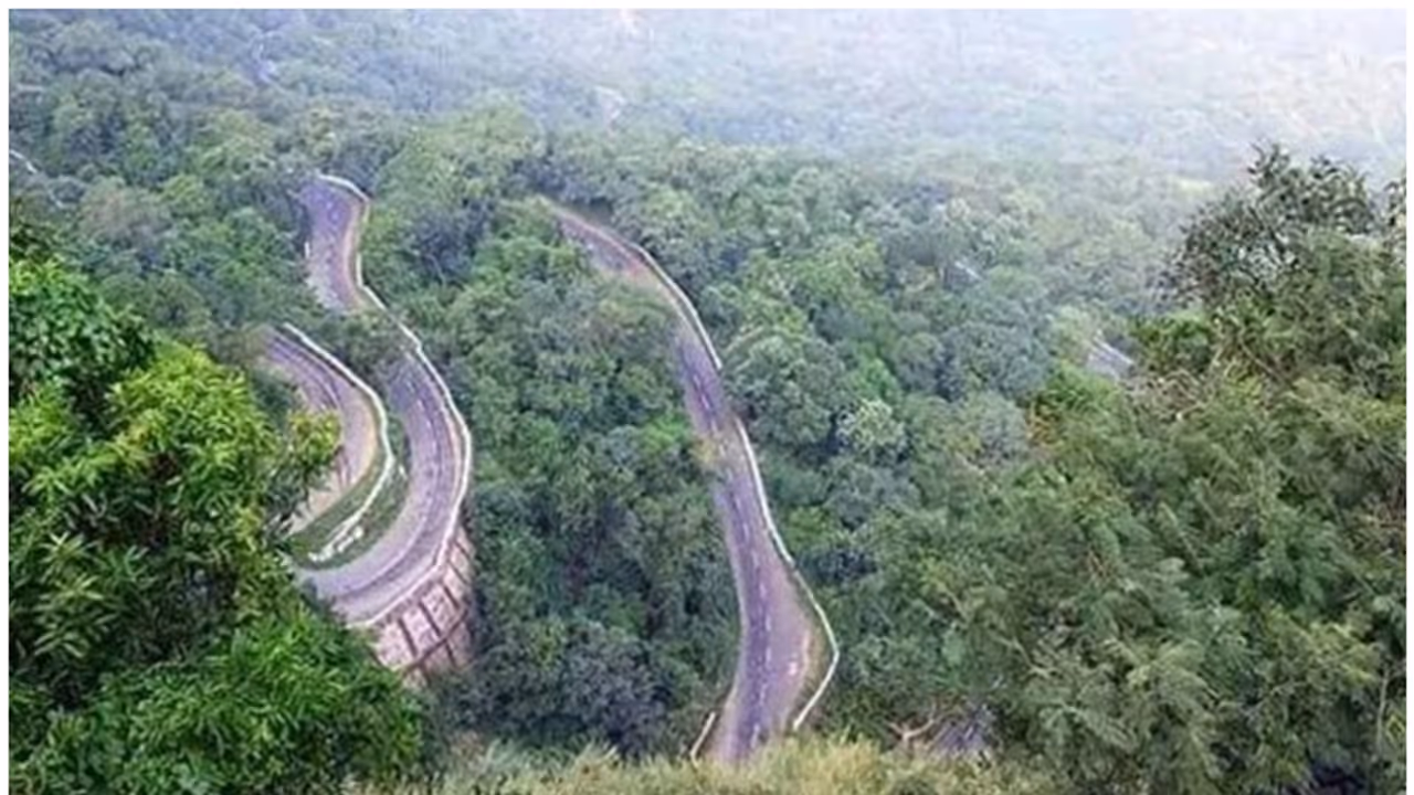 വാൽപ്പാറ ട്രിപ്പ് പ്ലാനിലുണ്ടോ? എവിടെയൊക്കെ പോകണം, എന്തൊക്കെ ചെയ്യണം? അറിയേണ്ടതെല്ലാം