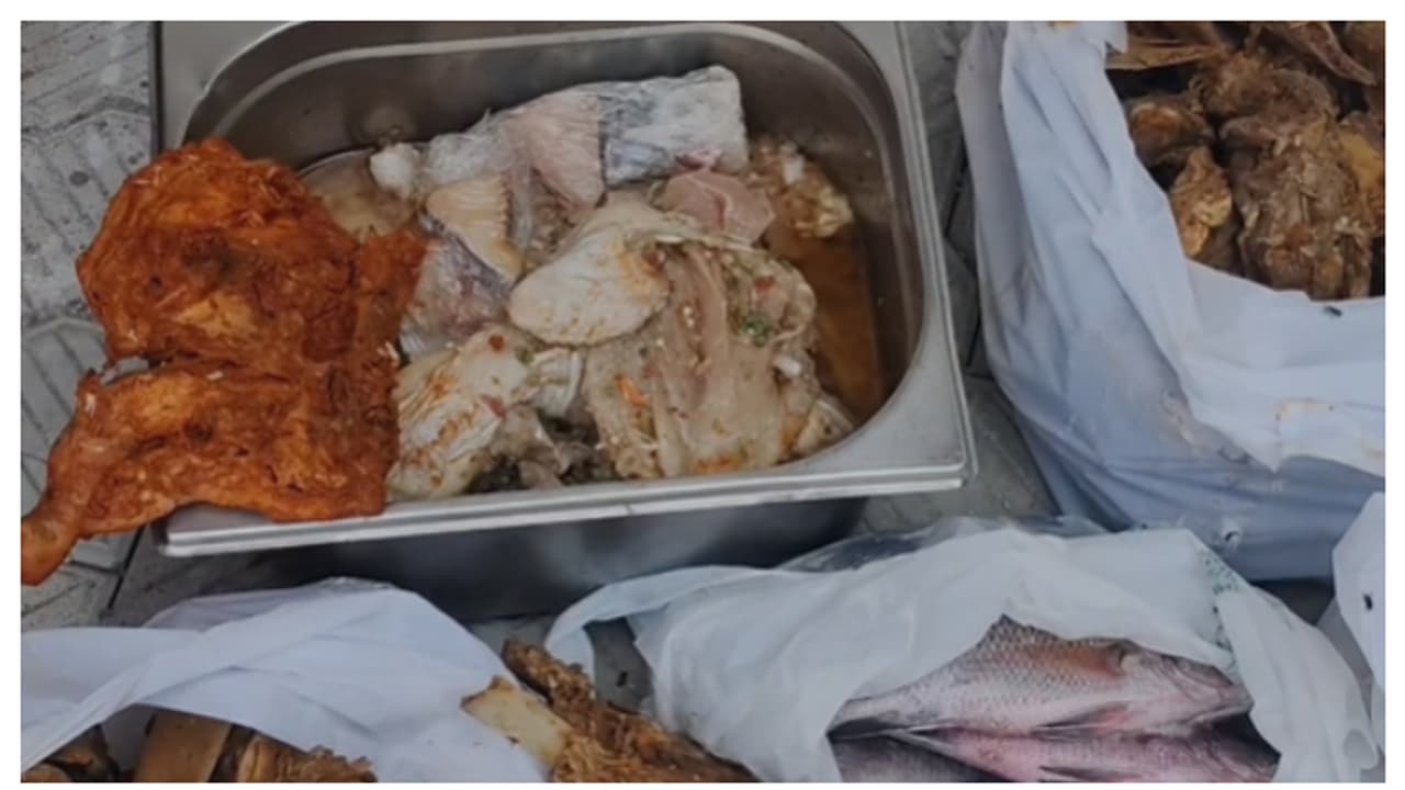 'ഇതൊക്കെയാണോ നിങ്ങൾ ആളുകൾക്ക് കൊടുക്കുന്നത്, കഷ്ടം!'; ഹോട്ടലിൽ നിന്ന് പിടികൂടിയത് അഴുകിയ കോഴിക്കറി, മീൻ 'ഇതൊക്കെയാണോ നിങ്ങൾ ആളുകൾക്ക് കൊടുക്കുന്നത്, കഷ്ടം!'; ഹോട്ടലിൽ നിന്ന് പിടികൂടിയത് അഴുകിയ കോഴിക്കറി, മീൻ