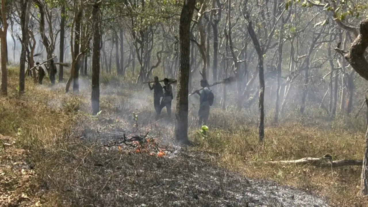ಕಾಡ್ಗಿಚ್ಚು ತಪ್ಪಿಸಲು ಅರಣ್ಯ ಇಲಾಖೆಯಿಂದ ಫೈರ್‌ಲೈನ್: ಮುಂದಿನ 3 ತಿಂಗಳು ಬೆಂಕಿ ತಡೆಯೋದು ದೊಡ್ಡ ಟಾಸ್ಕ್!
