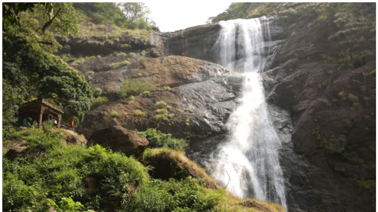 ഇത് കൊല്ലംകാരുടെ സുന്ദരി; പാൽ പോലെയൊഴുകും പാലരുവി ഇത് കൊല്ലംകാരുടെ സുന്ദരി; പാൽ പോലെയൊഴുകും പാലരുവി