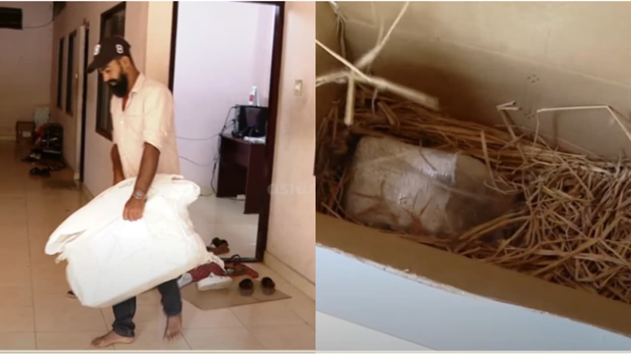 എന്തൊരു തട്ടിപ്പ്! ഓര്‍ഡർ ചെയ്തത് മരംമുറിക്കുന്ന യന്ത്രം, കിട്ടിയത് വൈക്കോലില്‍ പൊതിഞ്ഞ സിമന്‍റ് കട്ടകൾ