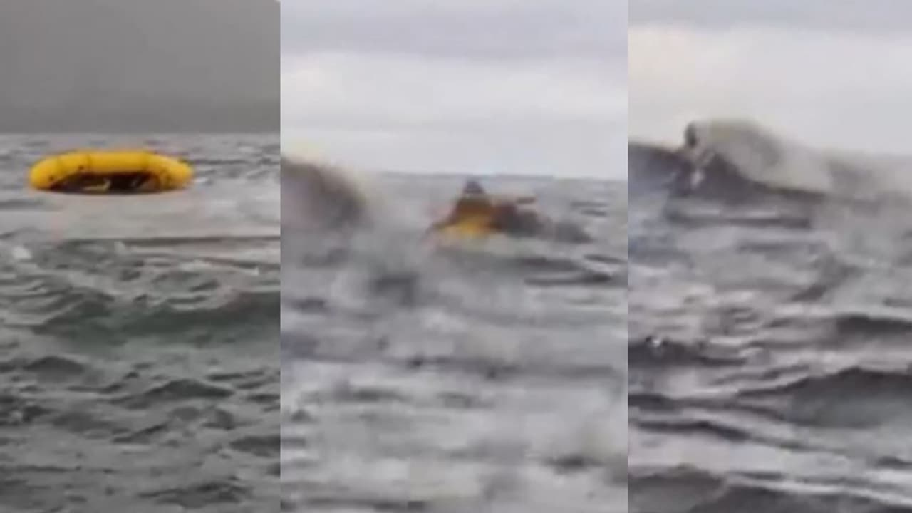 ನಾವಿಕನ ನುಂಗಿ, ಬಳಿಕ ಹೊರಗೆ ಉಗುಳಿದ ತಿಮಿಂಗಿಲ! ಮೀನಿನ ಹೊಳ್ಳೆಯೊಳಗೆ ಹೋಗಿಬಂದವನ ರೋಚಕ ಕಥೆ ನಾವಿಕನ ನುಂಗಿ, ಬಳಿಕ ಹೊರಗೆ ಉಗುಳಿದ ತಿಮಿಂಗಿಲ! ಮೀನಿನ ಹೊಳ್ಳೆಯೊಳಗೆ ಹೋಗಿಬಂದವನ ರೋಚಕ ಕಥೆ