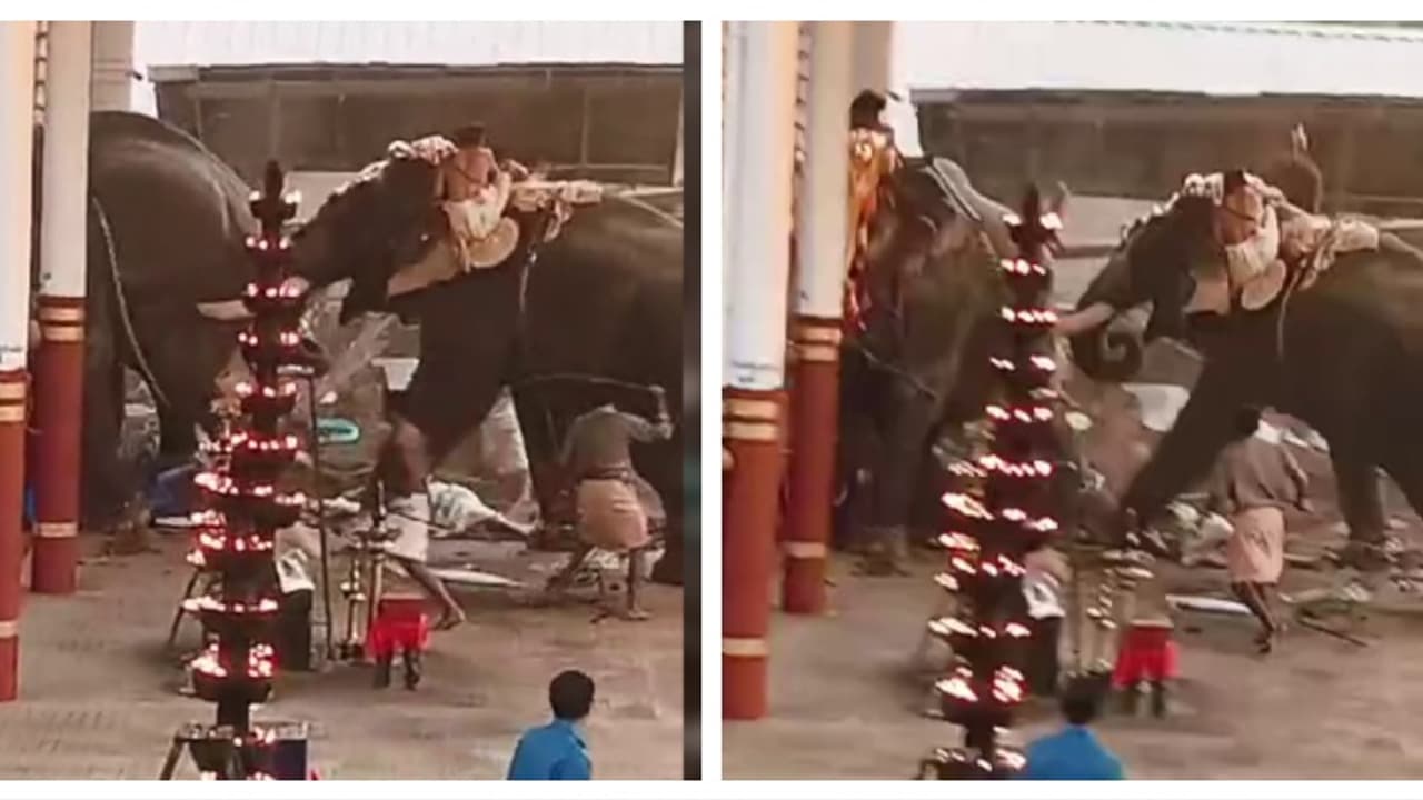 'ഇത്തരം അപകടങ്ങളിൽ ആർക്കെതിരെയാണ് കേസെടുക്കേണ്ടത്?' ആനയിടഞ്ഞ സംഭവത്തില് ഇടപെട്ട് ഹൈക്കോടതി 'ഇത്തരം അപകടങ്ങളിൽ ആർക്കെതിരെയാണ് കേസെടുക്കേണ്ടത്?' ആനയിടഞ്ഞ സംഭവത്തില് ഇടപെട്ട് ഹൈക്കോടതി