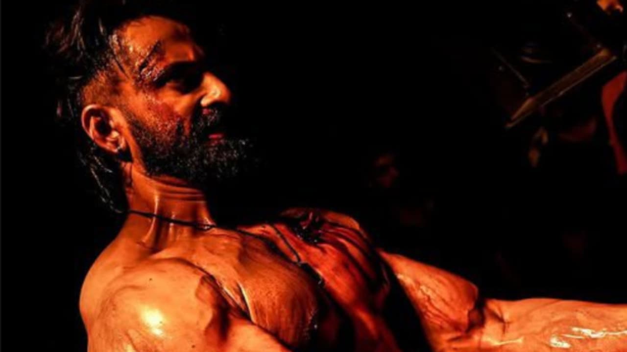 നേടിയത് 116 കോടി, മാര്‍ക്കോ ഒടിടിയില്‍ എങ്ങനെ?, മറുഭാഷ പ്രേക്ഷകരുടെ പ്രതികരണങ്ങള്‍