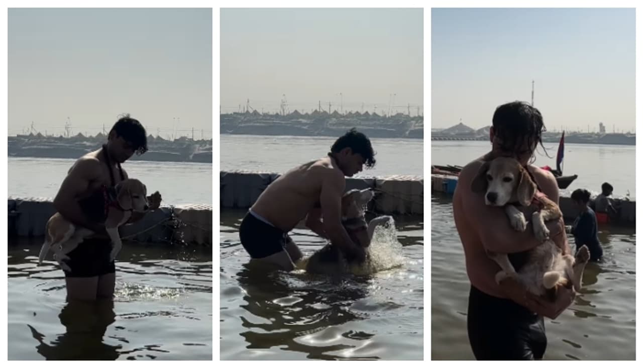 ಮಹಾ ಕುಂಭಮೇಳದಲ್ಲಿ ನಾಯಿ ಪವಿತ್ರ ಸ್ನಾನ ಮಾಡಿಸಿದ ಮಾಲೀಕ! ವಿಡಿಯೋ ವೈರಲ್ 