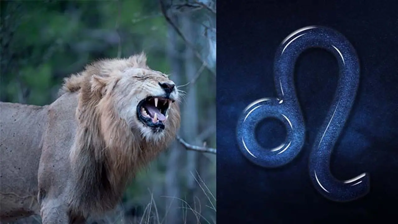 10 Traits of Leo: Here's how you should deal with challenging traits of Leo