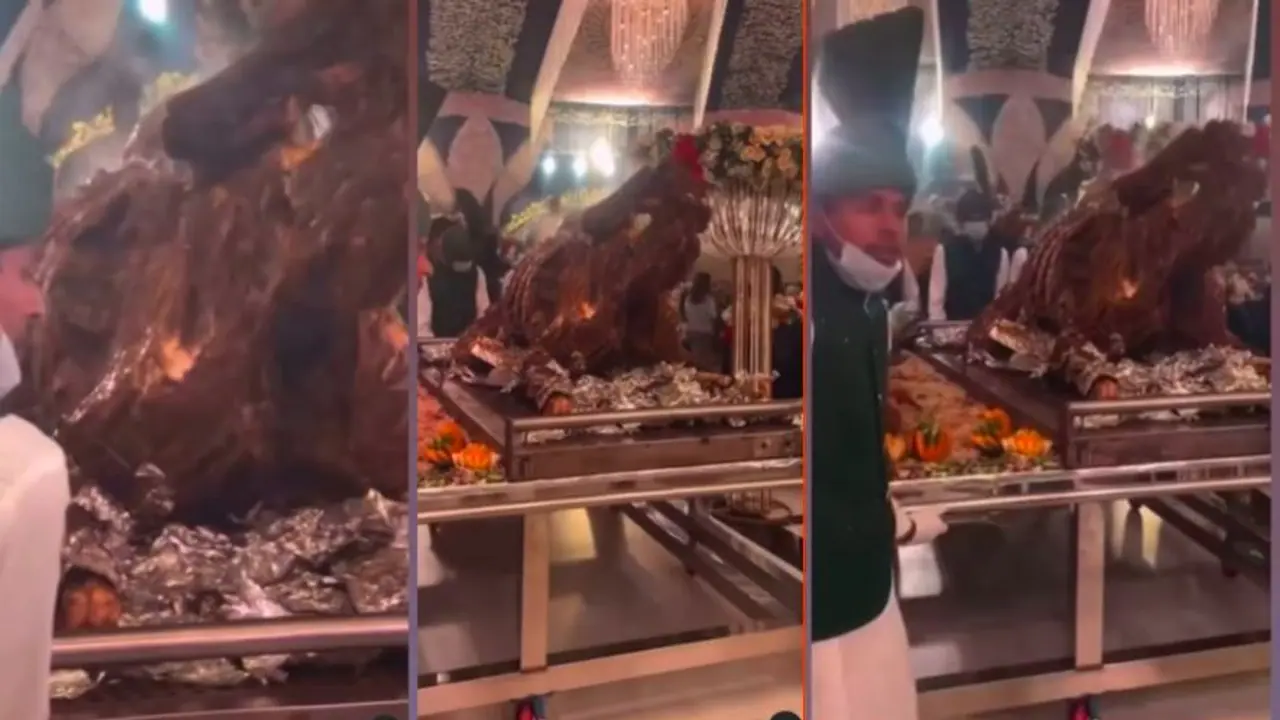 ಇಡೀ ಒಂಟೆಯನ್ನೇ ರೋಸ್ಟ್ ಮಾಡಿ ಅತಿಥಿಗಳಿಗೆ ಉಪಚಾರ: ಪಾಕಿಸ್ತಾನದ ಮದುವೆ ವೀಡಿಯೋ ವೈರಲ್ ಇಡೀ ಒಂಟೆಯನ್ನೇ ರೋಸ್ಟ್ ಮಾಡಿ ಅತಿಥಿಗಳಿಗೆ ಉಪಚಾರ: ಪಾಕಿಸ್ತಾನದ ಮದುವೆ ವೀಡಿಯೋ ವೈರಲ್