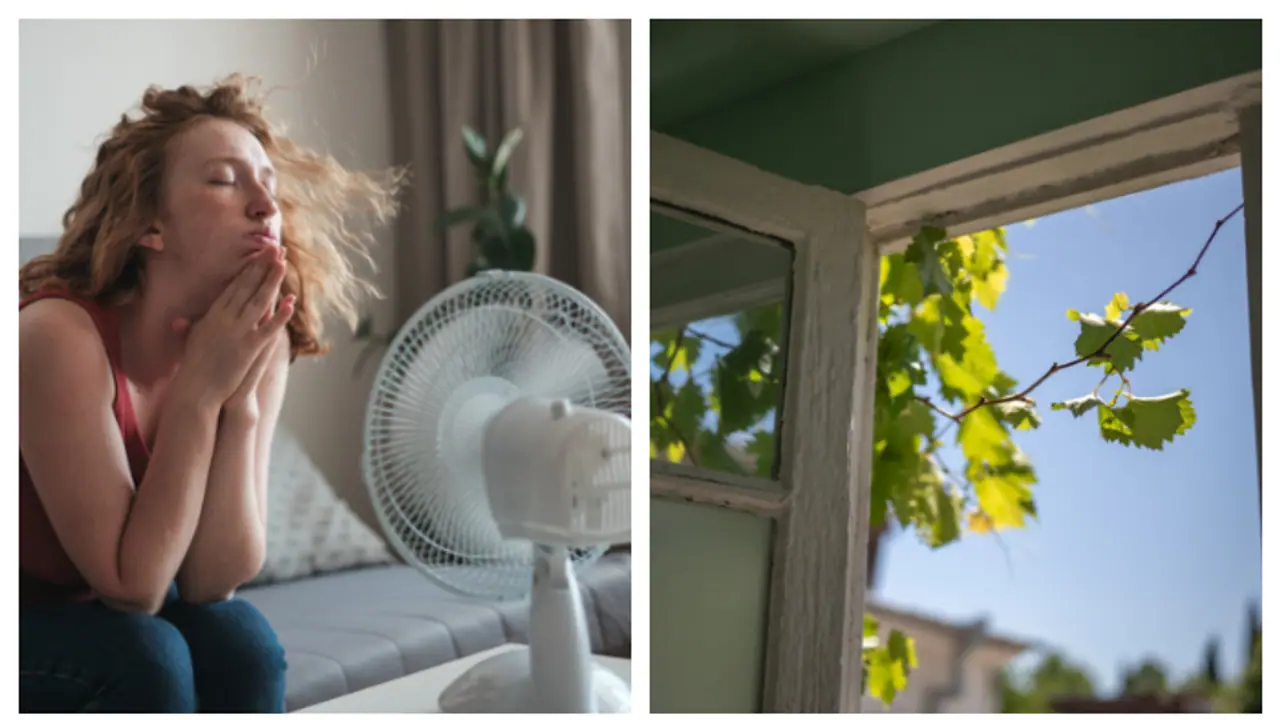 മുഴുവൻ സമയവും ഫാൻ ഉപയോഗിച്ചിട്ടും ചൂട് കുറയുന്നില്ലേ? വീടിനുള്ളിലെ ചൂട് കുറക്കാൻ സിംപിളാണ് മുഴുവൻ സമയവും ഫാൻ ഉപയോഗിച്ചിട്ടും ചൂട് കുറയുന്നില്ലേ? വീടിനുള്ളിലെ ചൂട് കുറക്കാൻ സിംപിളാണ്