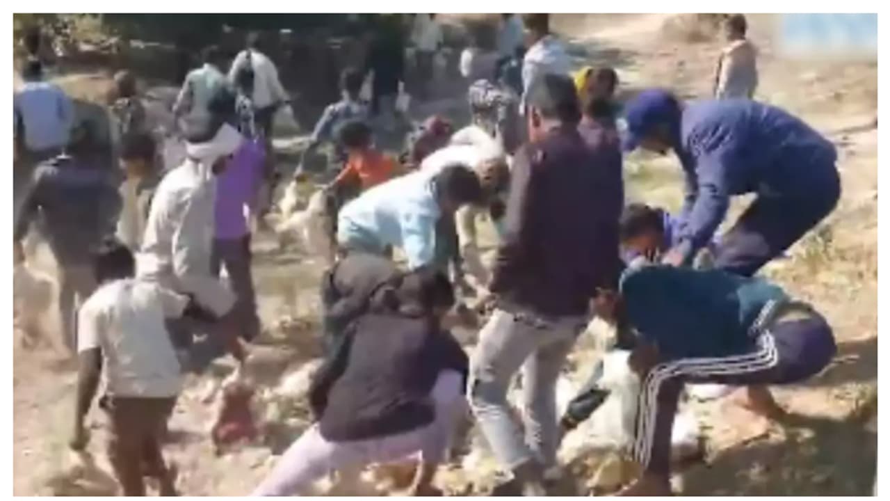 കോഴിവണ്ടി മറിഞ്ഞു, കോഴികളെ പിടികൂടാൻ ഓടിക്കൂടി നാട്ടുകാർ, പരിക്കേറ്റ ഡ്രൈവറെയും ക്ലീനറെയും തിരിഞ്ഞുനോക്കിയില്ല കോഴിവണ്ടി മറിഞ്ഞു, കോഴികളെ പിടികൂടാൻ ഓടിക്കൂടി നാട്ടുകാർ, പരിക്കേറ്റ ഡ്രൈവറെയും ക്ലീനറെയും തിരിഞ്ഞുനോക്കിയില്ല