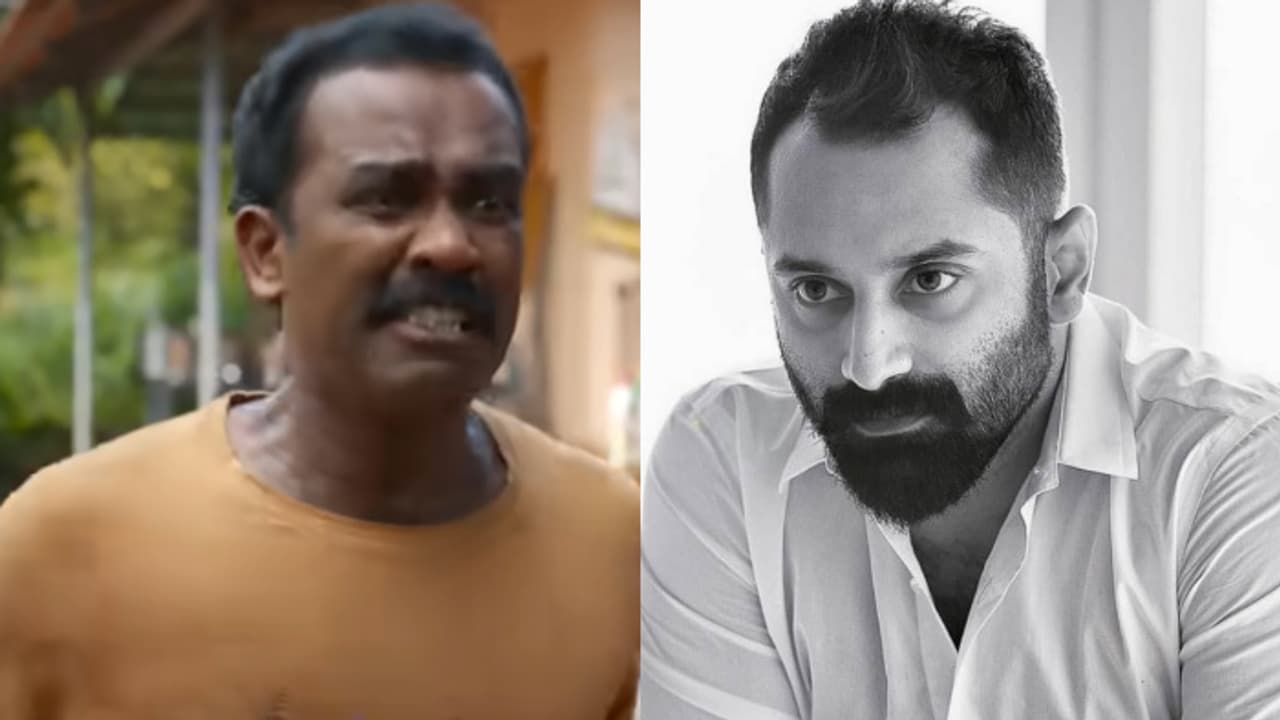ഫഹദിന്റെ പൈങ്കിളിക്ക് ഞായറാഴ്‍ച നേട്ടമുണ്ടാക്കാനായോ?, കളക്ഷൻ എങ്ങോട്ട്?