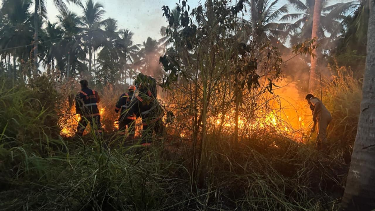 ദുരൂഹം ! കോവളത്ത് അഞ്ചേക്കർ സ്ഥലത്ത് തീപിടിക്കുന്നത് രണ്ടാം തവണ, ഫയർഫോഴ്സെത്തി തീയണച്ചു ദുരൂഹം ! കോവളത്ത് അഞ്ചേക്കർ സ്ഥലത്ത് തീപിടിക്കുന്നത് രണ്ടാം തവണ, ഫയർഫോഴ്സെത്തി തീയണച്ചു