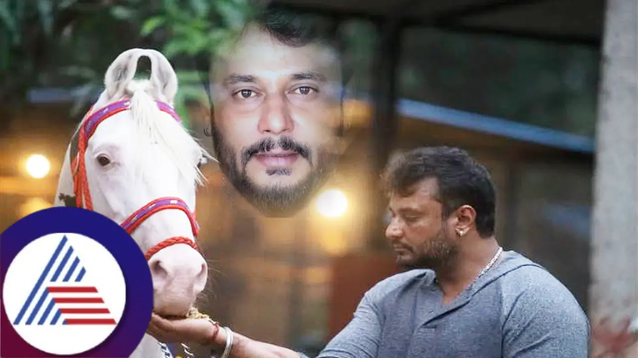 ಬೇಸರದಲ್ಲಿದ್ದ ಸೆಲೆಬ್ರಿಟಿಗಳಿಗೆ ಪತ್ರ ಬರೆದ ದರ್ಶನ್; ಏನೇ ಇರ್ಲಿ ಅರೋಗ್ಯ ನೋಡ್ಕೊಳ್ಳಿ ಎಂದ ಫ್ಯಾನ್ಸ್! 