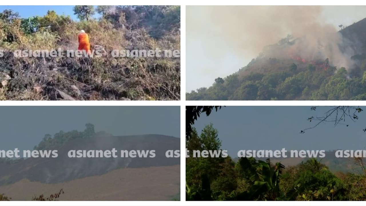 12 ഹെക്ടർ ഇന്നലെ തീയിൽ കത്തിയമർന്നു, കമ്പമലയിൽ ഇന്നും തീപിടുത്തം; സ്വാഭാവികമല്ല, ദുരൂഹതയെന്ന് ഡിഎഫ്ഒ 12 ഹെക്ടർ ഇന്നലെ തീയിൽ കത്തിയമർന്നു, കമ്പമലയിൽ ഇന്നും തീപിടുത്തം; സ്വാഭാവികമല്ല, ദുരൂഹതയെന്ന് ഡിഎഫ്ഒ