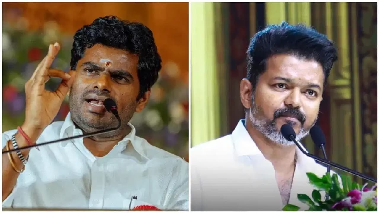 விஜய் நடத்தும் சிபிஎஸ்இ பள்ளி பற்றித் தெரியுமா? தவெகவை பொளந்து கட்டிய அண்ணாமலை!