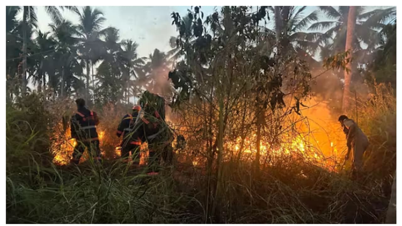  വേനൽച്ചൂടേറുന്നു, തലസ്ഥാനത്ത് ഒന്നരമാസത്തിനിടെ ഫയർഫോഴ്സ് തീയണച്ചത് 400 സ്ഥലങ്ങളിൽ