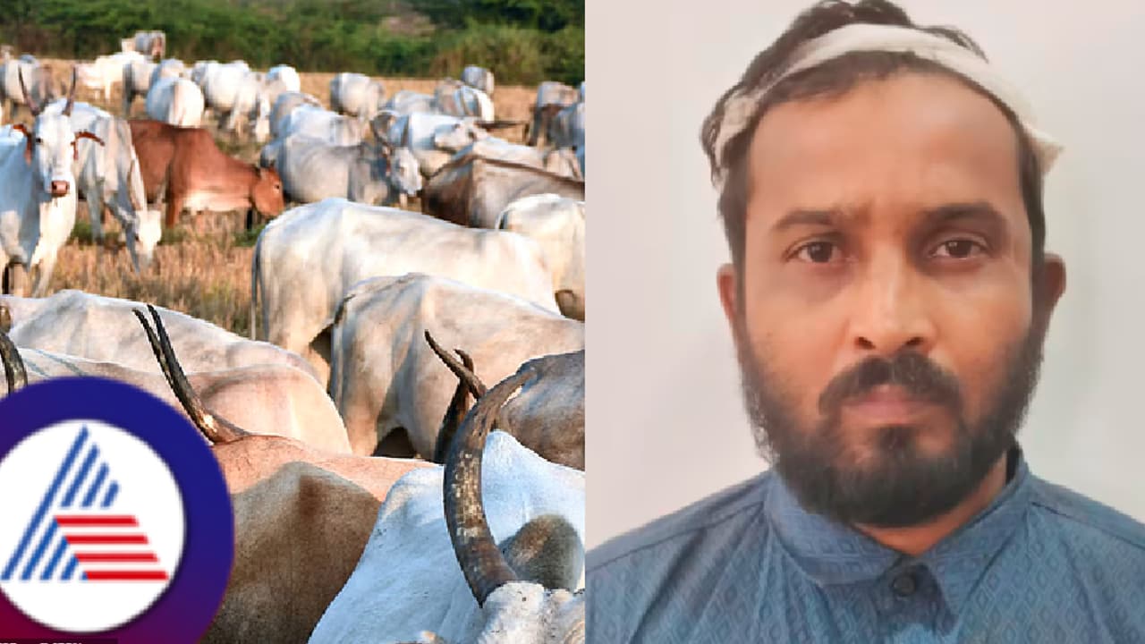 ಹಸುಗಳ್ಳತನಕ್ಕೆ ಎತ್ತಿದ ಕೈ, ಕದ್ದ ಹಸು ಕಾರಿನಲ್ಲಿ ಸಾಗಿಸುತ್ತಿದ್ದ ಭೂಪರು! ಫೈರೋಜ್ ಬೇಗ್, ಸೈಯದ್ ಬಂಧನ! ಕದ್ದಿದ್ದೆಷ್ಟು? ಹಸುಗಳ್ಳತನಕ್ಕೆ ಎತ್ತಿದ ಕೈ, ಕದ್ದ ಹಸು ಕಾರಿನಲ್ಲಿ ಸಾಗಿಸುತ್ತಿದ್ದ ಭೂಪರು! ಫೈರೋಜ್ ಬೇಗ್, ಸೈಯದ್ ಬಂಧನ! ಕದ್ದಿದ್ದೆಷ್ಟು?