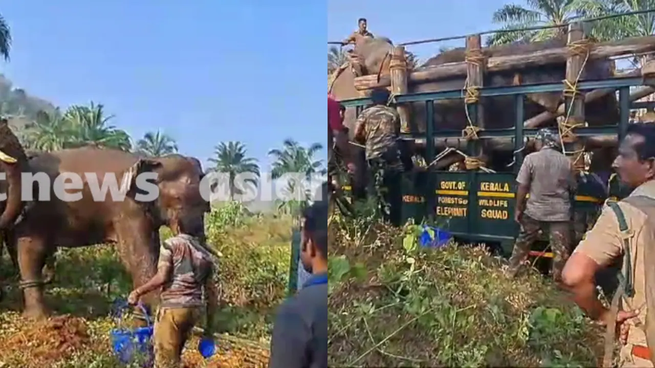 അതിരപ്പിള്ളി ആന ദൗത്യം പൂര്ണം; കാട്ടുകൊമ്പനെ അനിമൽ ആംബുലന്സിലേക്ക് മാറ്റി, കോടനാട്ടിലേക്ക് പുറപ്പെട്ടു അതിരപ്പിള്ളി ആന ദൗത്യം പൂര്ണം; കാട്ടുകൊമ്പനെ അനിമൽ ആംബുലന്സിലേക്ക് മാറ്റി, കോടനാട്ടിലേക്ക് പുറപ്പെട്ടു