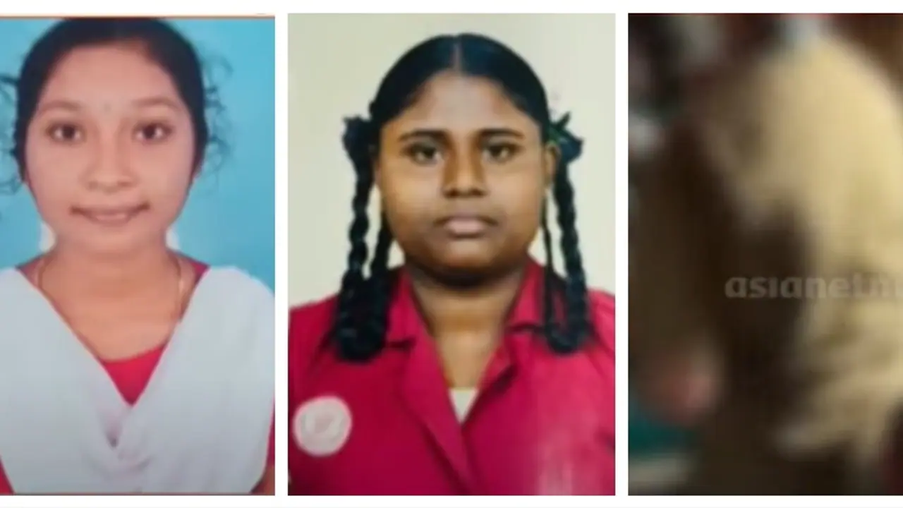 മാട്ടുപ്പെട്ടി വാഹനാപകടം: 3 വിദ്യാർത്ഥികൾ മരിച്ചു; കോളേജ് വിദ്യാർത്ഥികളുടെ സംഘത്തിലുണ്ടായിരുന്നത് 40 പേർ