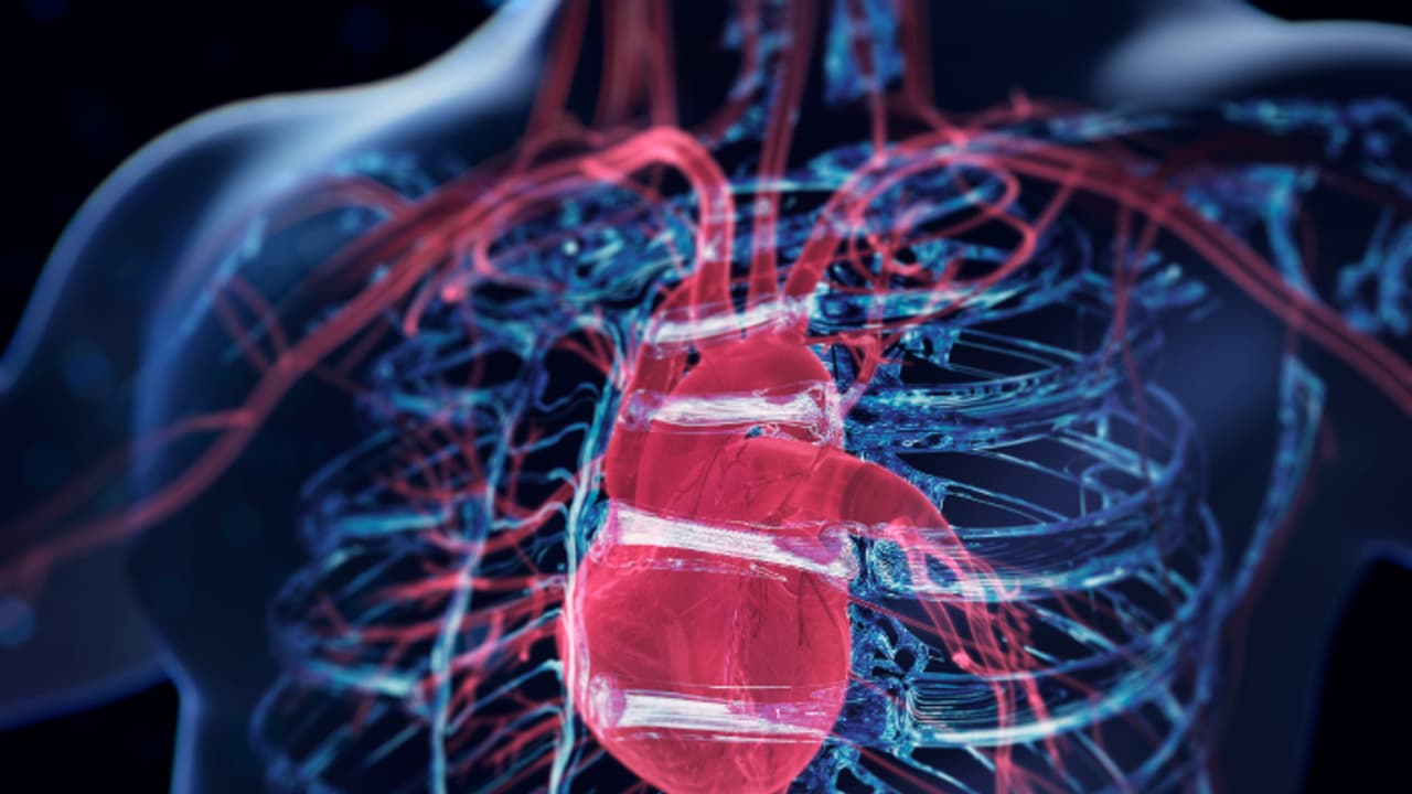 Health Tips: ഹൃദ്രോഗത്തിന്‍റെ പ്രധാനപ്പെട്ട ഒമ്പത് ലക്ഷണങ്ങളെ തിരിച്ചറിയാം