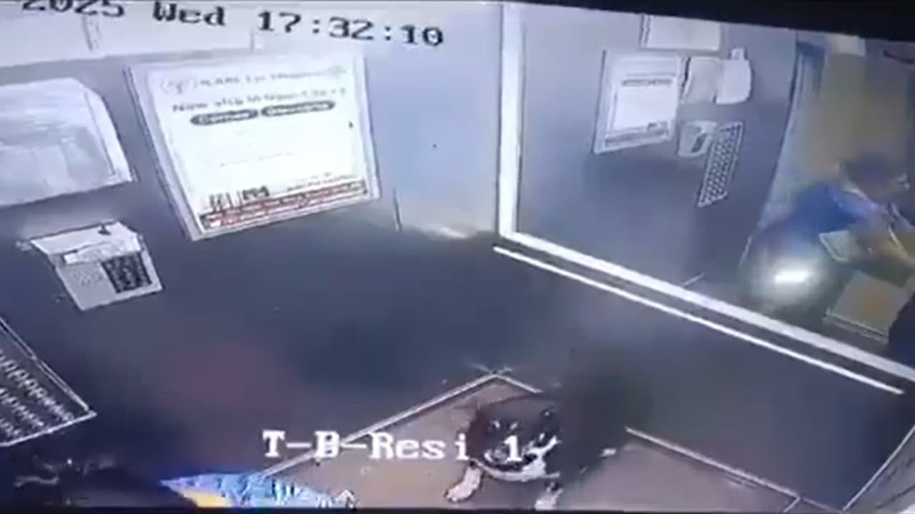 On CCTV, woman drags terrified 8 yr old boy out of lift, assaults him after he objects to dog's entry (WATCH) On CCTV, woman drags terrified 8 yr old boy out of lift, assaults him after he objects to dog's entry (WATCH)