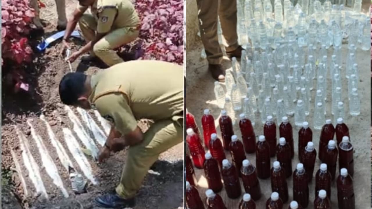 ചീരക്കൃഷിക്കെടുത്ത കുഴിയ്ക്കടുത്ത് വേറെയും അറകള്‍; പിടികൂടിയത് 149 ലിറ്റർ വാറ്റുചാരായവും വൈനും 