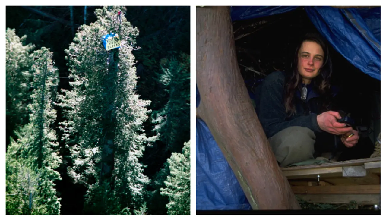 1,000 വർഷം പഴക്കമുള്ള മരത്തിൽ, 200 അടി ഉയരത്തിൽ, 738 ദിവസം; ജൂലിയ ബട്ടർഫ്ലൈയുടെ പ്രതിഷേധത്തിന് ഒരു കാരണമുണ്ട് 1,000 വർഷം പഴക്കമുള്ള മരത്തിൽ, 200 അടി ഉയരത്തിൽ, 738 ദിവസം; ജൂലിയ ബട്ടർഫ്ലൈയുടെ പ്രതിഷേധത്തിന് ഒരു കാരണമുണ്ട്