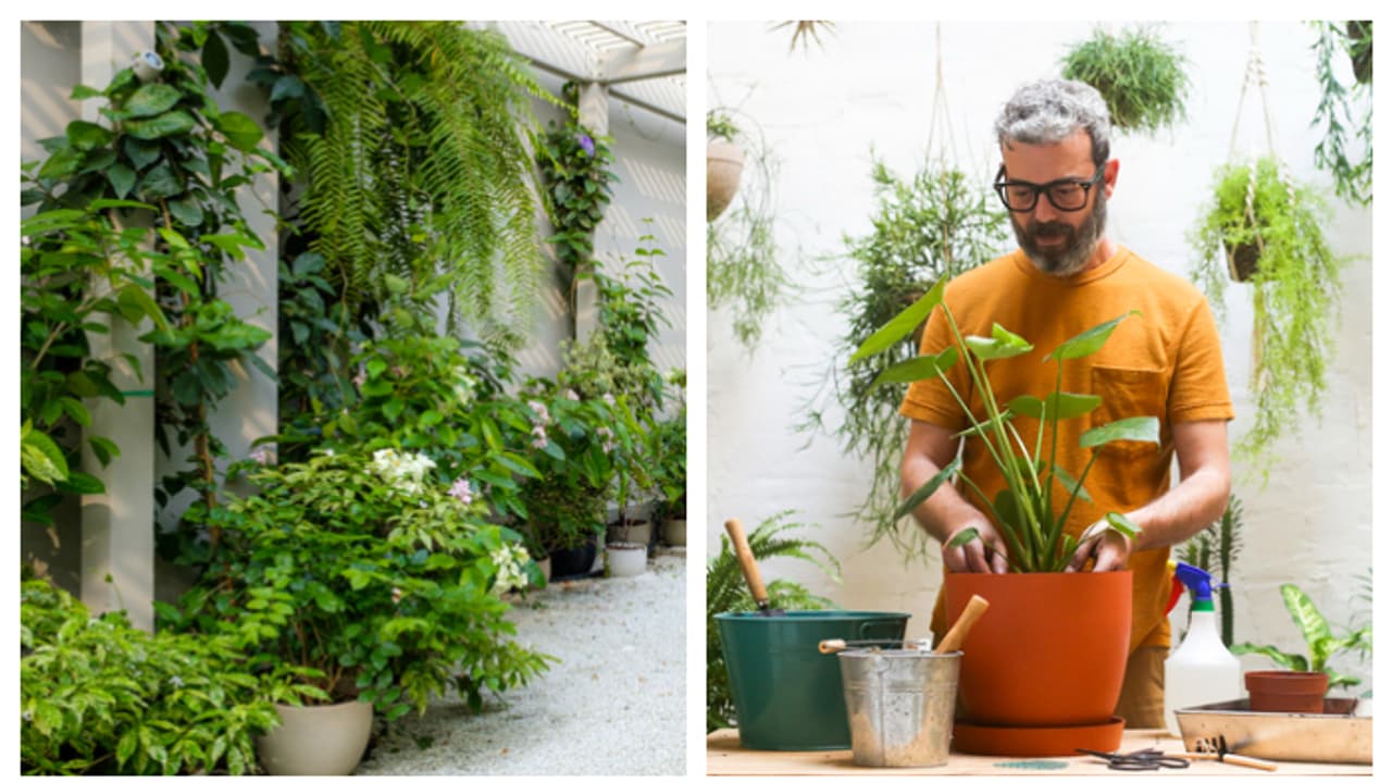 ഇനി വീടിനുള്ളിൽ ചൂട് തങ്ങി നിൽക്കില്ല, സിംപിളായി ചൂടിനെ തുരത്താം; ഇത്രയേ ചെയ്യാനുള്ളൂ ഇനി വീടിനുള്ളിൽ ചൂട് തങ്ങി നിൽക്കില്ല, സിംപിളായി ചൂടിനെ തുരത്താം; ഇത്രയേ ചെയ്യാനുള്ളൂ