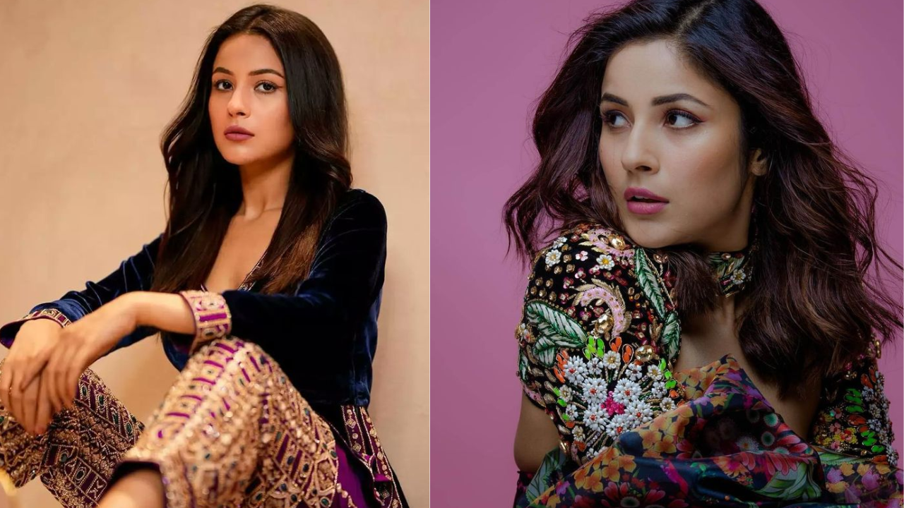 shehnaaz gill hairstyle 