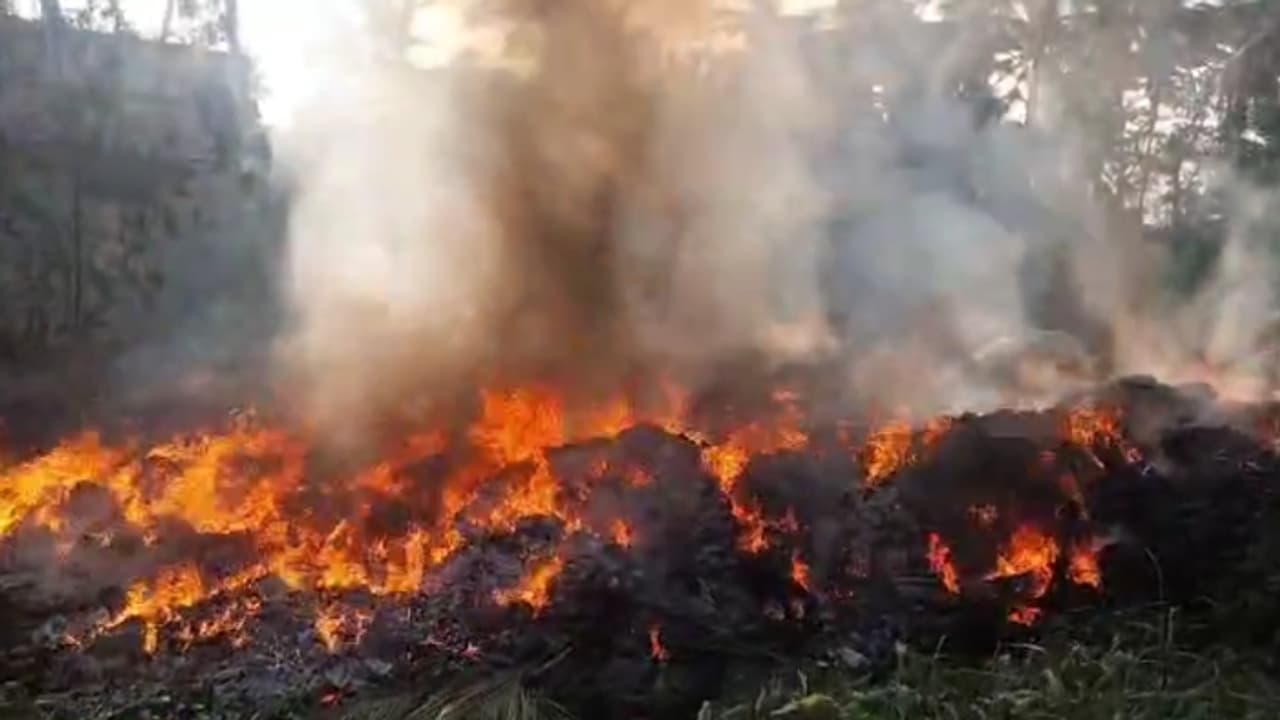 കൂട്ടിയിട്ട മാലിന്യം ആളിക്കത്തി, പ്രദേശത്താകെ പുക, നാട്ടുകാർക്ക് ദേഹാസ്വാസ്ഥ്യം; ഉടമയ്ക്ക് പിഴിയിട്ട് നഗരസഭ കൂട്ടിയിട്ട മാലിന്യം ആളിക്കത്തി, പ്രദേശത്താകെ പുക, നാട്ടുകാർക്ക് ദേഹാസ്വാസ്ഥ്യം; ഉടമയ്ക്ക് പിഴിയിട്ട് നഗരസഭ