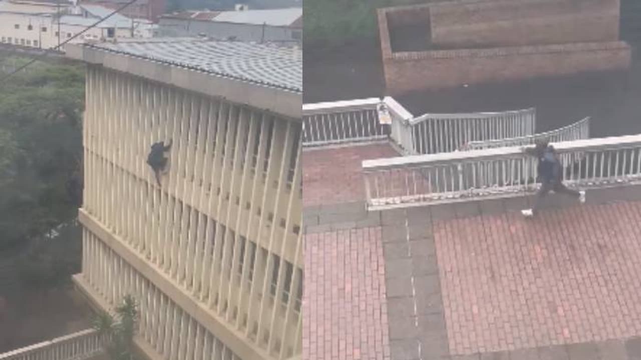 കോടതിയിൽ ഇതാണോ അവസ്ഥ? സ്പൈഡർമാനെപ്പോലെയുണ്ട്, ഞെട്ടിക്കുന്ന ദൃശ്യങ്ങൾ, സംഭവം ദക്ഷിണാഫ്രിക്കയിൽ