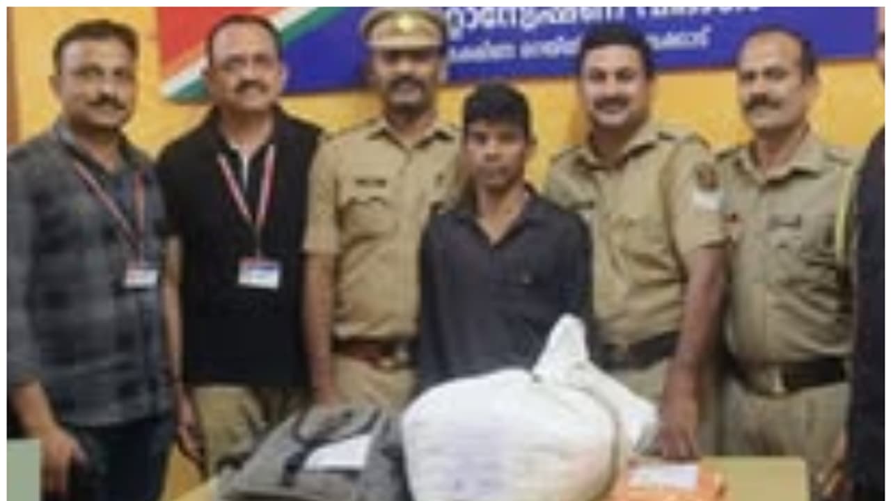 പാലക്കാട് റെയിൽവേ സ്റ്റേഷൻ, എക്സൈസിനൊപ്പം ചേര്ന്ന് റെയിൽവേ സിഐബി യൂണിറ്റും; പിടിച്ചത് കഞ്ചാവ് പാലക്കാട് റെയിൽവേ സ്റ്റേഷൻ, എക്സൈസിനൊപ്പം ചേര്ന്ന് റെയിൽവേ സിഐബി യൂണിറ്റും; പിടിച്ചത് കഞ്ചാവ്