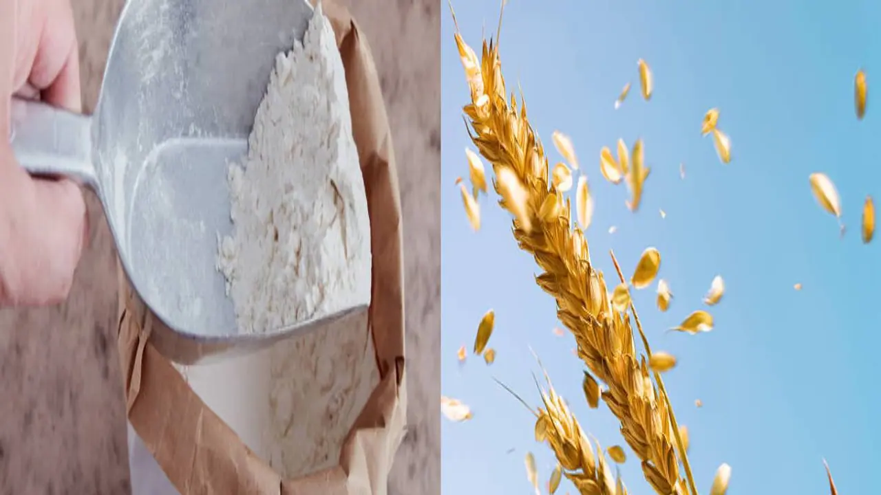 உங்கள் கோதுமை மாவு சுத்தமானது தானா? ஒரிஜினலை கண்டுபிடிக்க ஈஸி வழிகள்