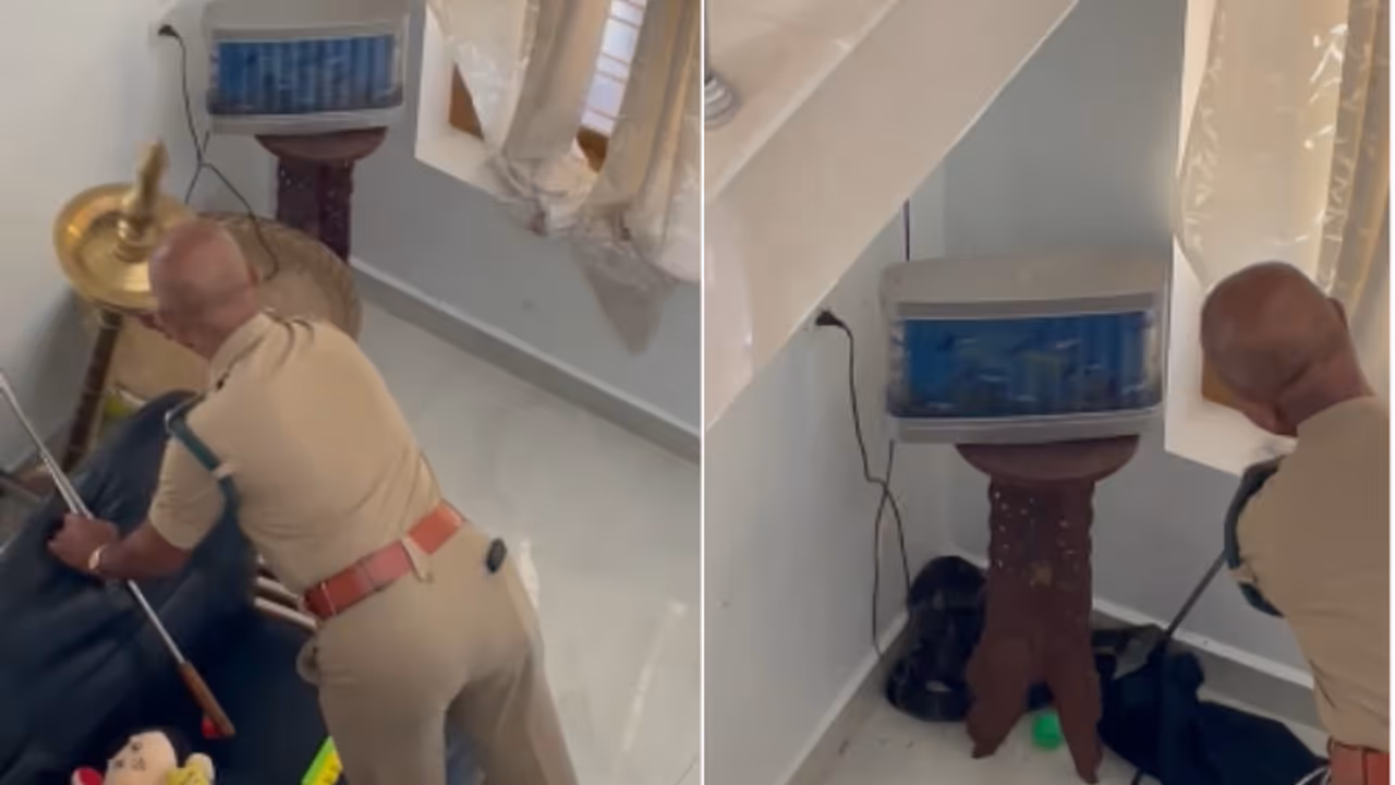വീട്ടിലെ ഡൈനിങ് ഹാളിൽ നിലവിളക്കിന് ചേര്‍ന്ന് വീട്ടുകാരെ പേടിപ്പിച്ച് അപ്രതീക്ഷിത അതിഥി; രാജവെമ്പാലയെ പിടികൂടി