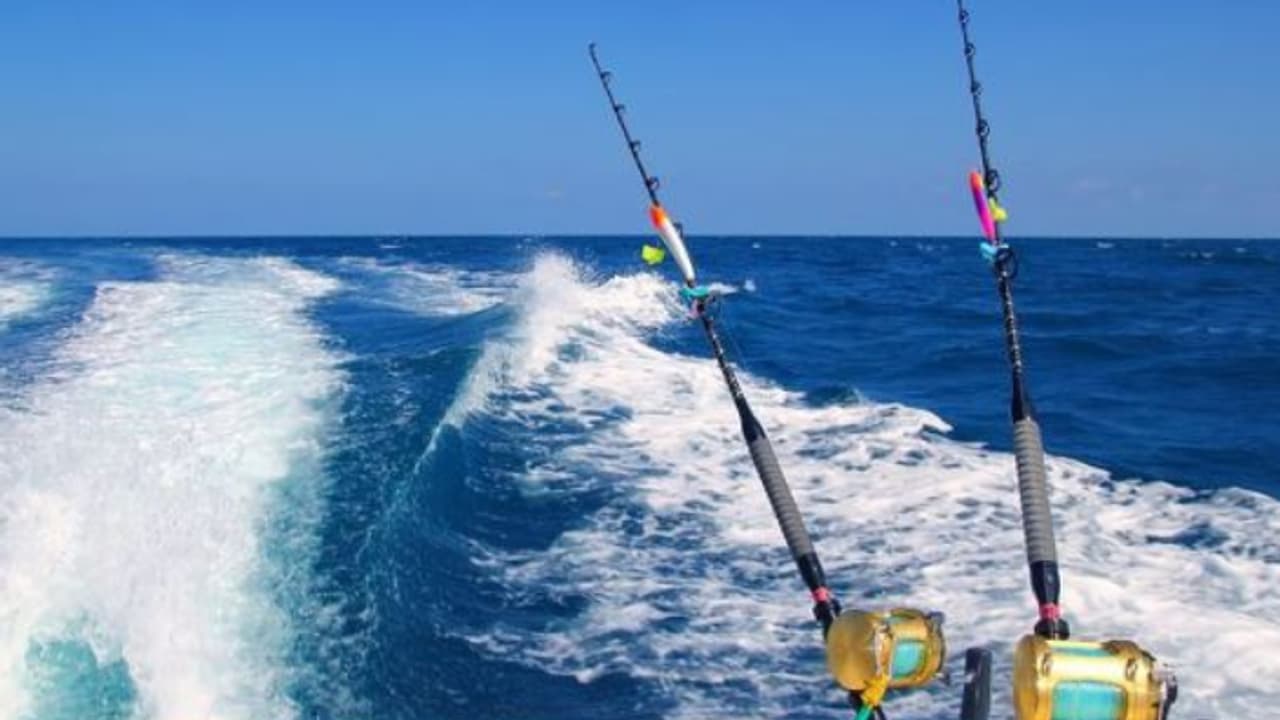 പ്രതിദിന പരിധി ലംഘിച്ച് മത്സ്യബന്ധനം നടത്തി, 50,000 ദിർഹം പിഴ ചുമത്തി അബുദാബി പരിസ്ഥിതി ഏജൻസി 