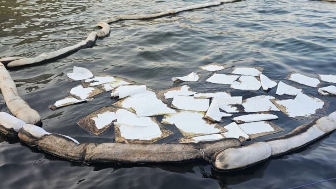 ഒമാനിലെ സമുദ്രോപരിതലങ്ങളിൽ എണ്ണ ചോർച്ച, സ്ഥിരീകരിച്ച് ജൈവവൈവിധ്യ അതോറിറ്റി ഒമാനിലെ സമുദ്രോപരിതലങ്ങളിൽ എണ്ണ ചോർച്ച, സ്ഥിരീകരിച്ച് ജൈവവൈവിധ്യ അതോറിറ്റി