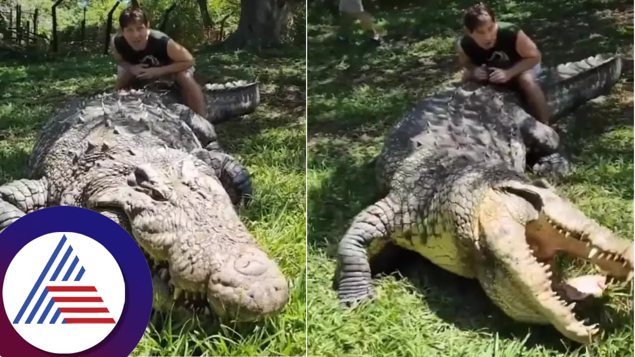 700 ಕೆ.ಜಿಯ ಈ ಹೆನ್ರಿಗೆ 6 ಪತ್ನಿಯರು, 10 ಸಾವಿರ ಮಕ್ಕಳು: ಜಗತ್ತಿನ ಹಿರಿಯನ ರೋಚಕ ಸ್ಟೋರಿ ಕೇಳಿ... 700 ಕೆ.ಜಿಯ ಈ ಹೆನ್ರಿಗೆ 6 ಪತ್ನಿಯರು, 10 ಸಾವಿರ ಮಕ್ಕಳು: ಜಗತ್ತಿನ ಹಿರಿಯನ ರೋಚಕ ಸ್ಟೋರಿ ಕೇಳಿ...