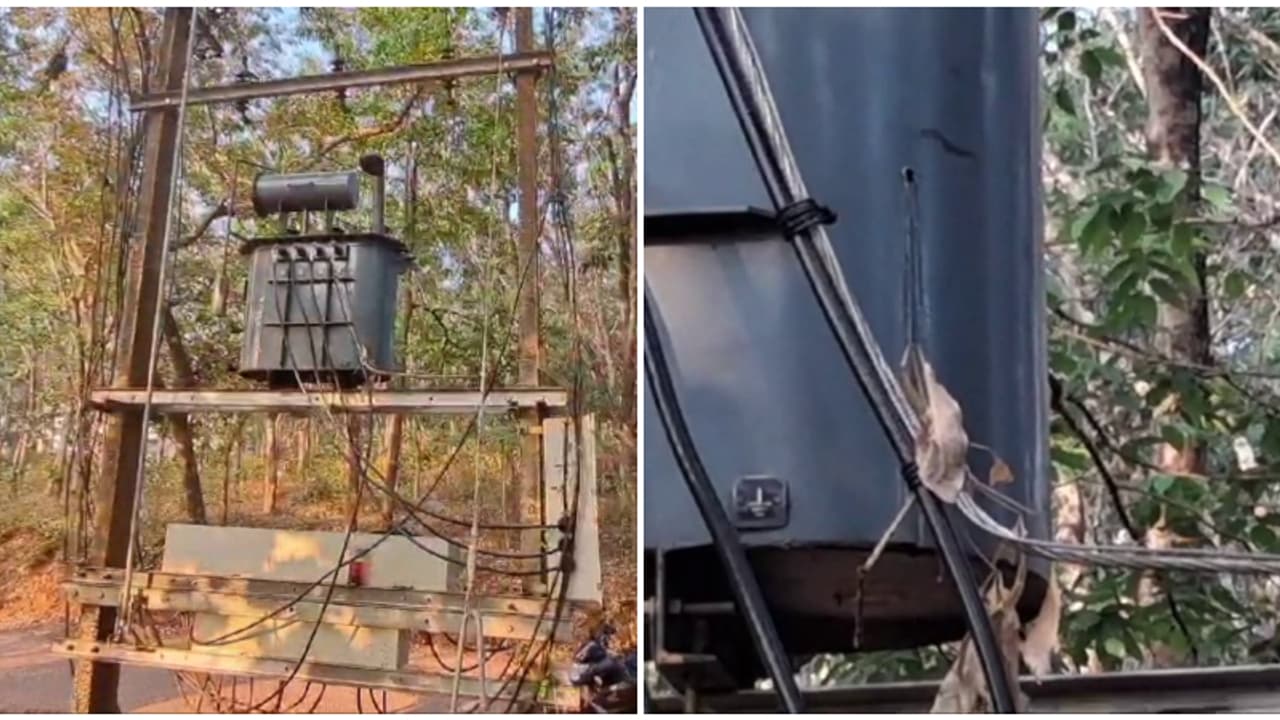 ഉന്നം ലേശം പാളി! കാട്ടുപന്നിക്കിട്ട് വച്ചത് കൊണ്ടത് ട്രാൻസ്ഫോർമറിന്, നഷ്ടം പഞ്ചായത്ത് നികത്തണമെന്ന് കെഎസ്ഇബി ഉന്നം ലേശം പാളി! കാട്ടുപന്നിക്കിട്ട് വച്ചത് കൊണ്ടത് ട്രാൻസ്ഫോർമറിന്, നഷ്ടം പഞ്ചായത്ത് നികത്തണമെന്ന് കെഎസ്ഇബി