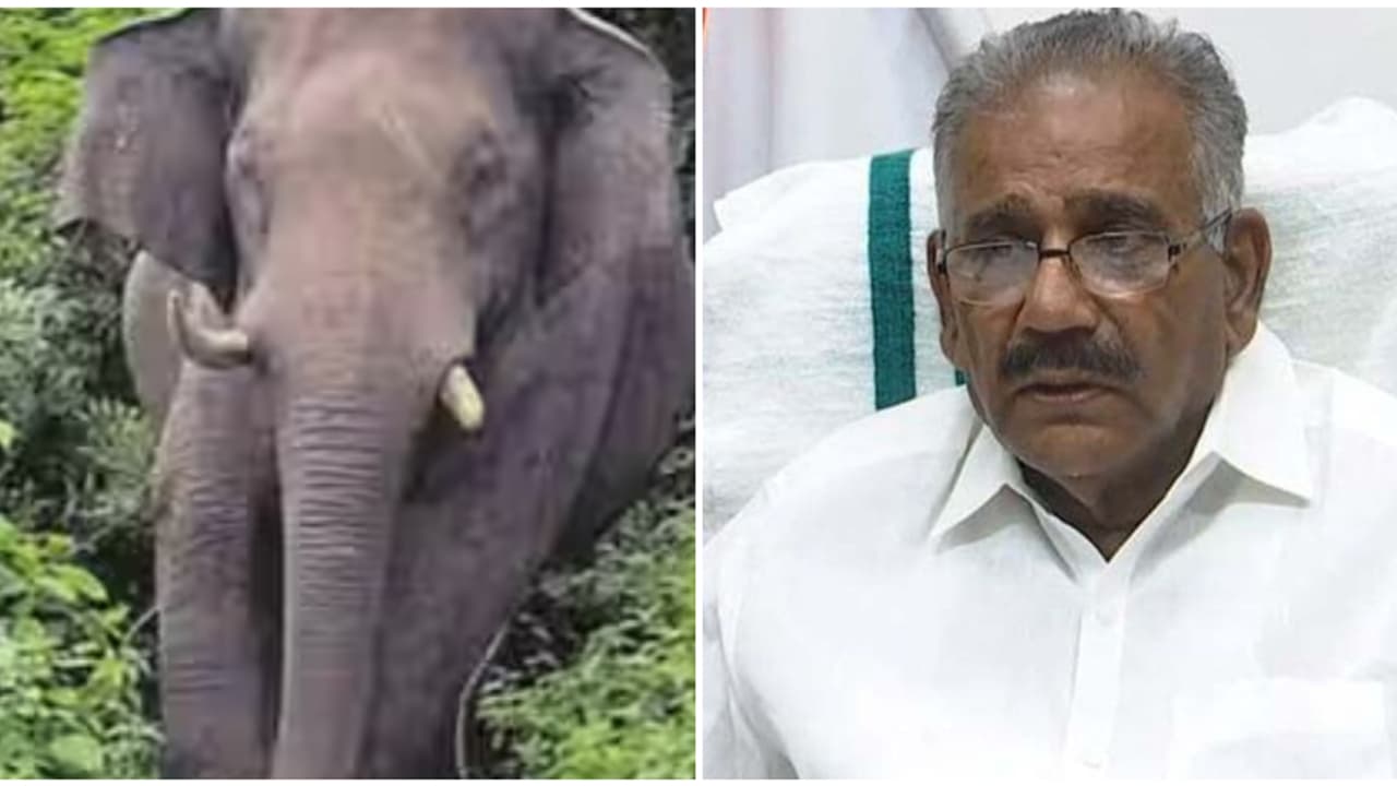 ആറളം ഫാമിൽ ദമ്പതികളെ കാട്ടാന ചവിട്ടിക്കൊന്ന സംഭവം; കുടുംബത്തിന് 20 ലക്ഷം രൂപ നഷ്ട പരിഹാരം നൽകും ആറളം ഫാമിൽ ദമ്പതികളെ കാട്ടാന ചവിട്ടിക്കൊന്ന സംഭവം; കുടുംബത്തിന് 20 ലക്ഷം രൂപ നഷ്ട പരിഹാരം നൽകും