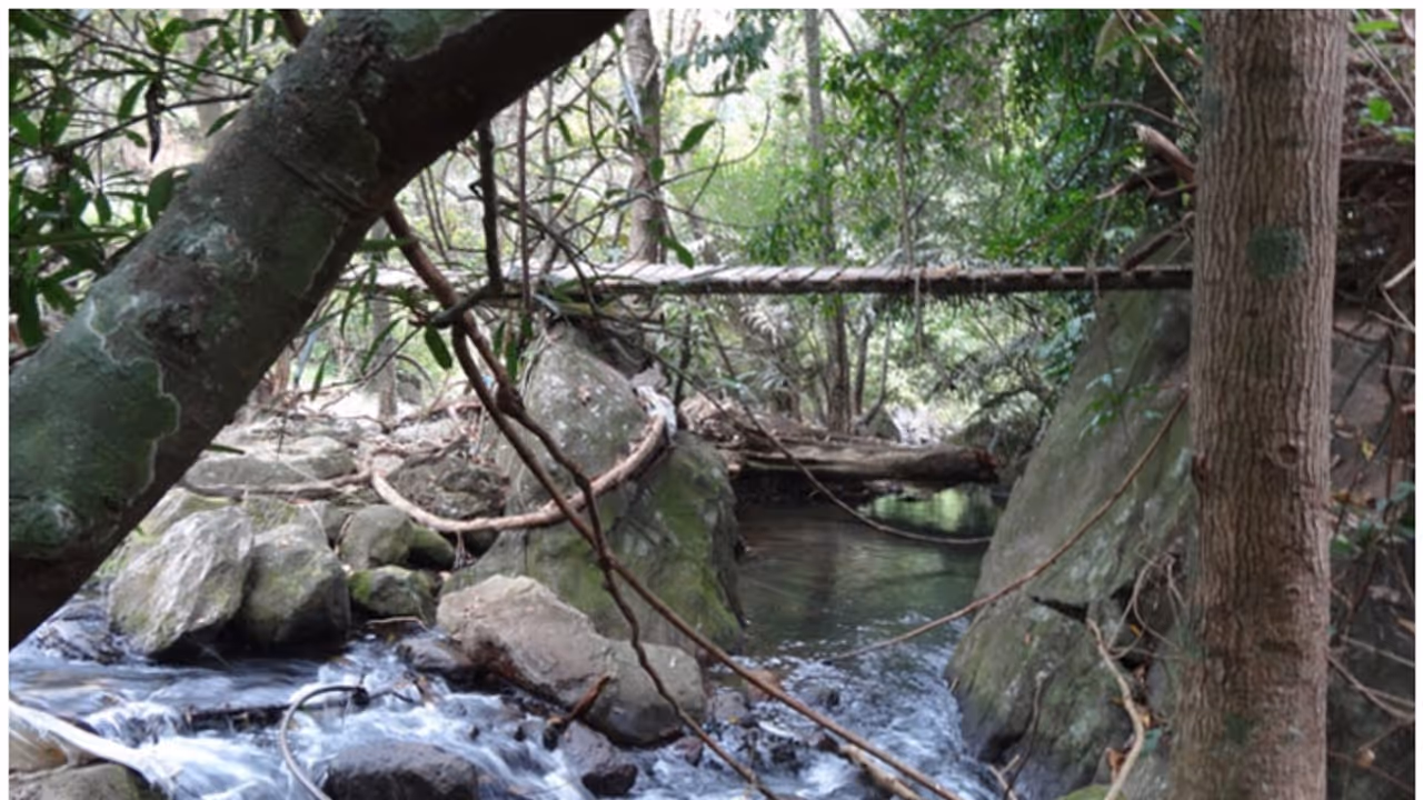 പാലക്കാട്ടെ ഉൾവനത്തിൽ ഒളിഞ്ഞിരിക്കുന്ന രത്നം; തട്ടുതട്ടായി താഴേയ്ക്ക് പതിക്കും മീന്വല്ലം പാലക്കാട്ടെ ഉൾവനത്തിൽ ഒളിഞ്ഞിരിക്കുന്ന രത്നം; തട്ടുതട്ടായി താഴേയ്ക്ക് പതിക്കും മീന്വല്ലം