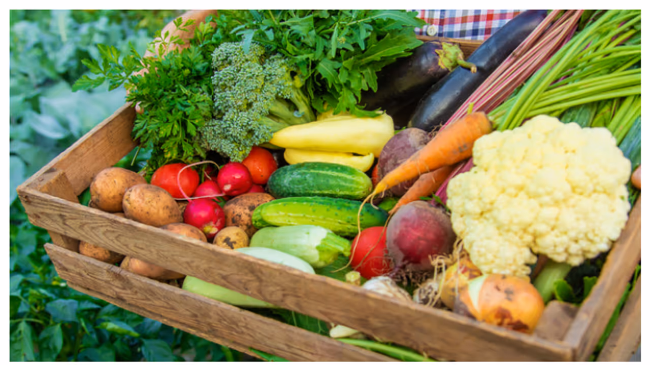 വീട്ടിൽ എളുപ്പത്തിൽ വളർത്താൻ കഴിയുന്ന 9 ഇനം പച്ചക്കറികൾ 