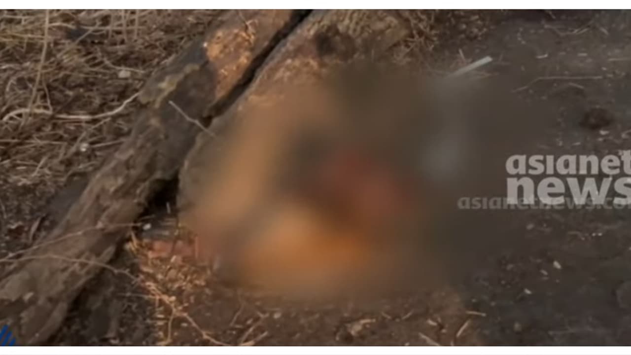 മുക്കത്ത് പുലിയെന്ന് സംശയം, വളർത്തുനായയെ ഭക്ഷിച്ച നിലയിൽ കണ്ടെത്തി; ക്യാമറ സ്ഥാപിക്കുമെന്ന് വനംവകുപ്പ്