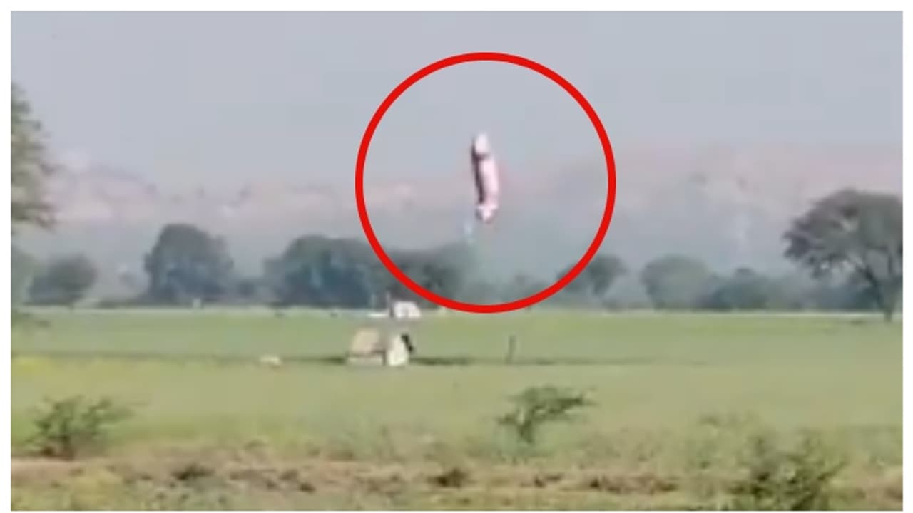 ഝാൻസിയിൽ അന്യഗ്രഹജീവിയെ കണ്ടെത്തി? ആകാശത്തേക്ക് എന്തോ വസ്തു കയറിപ്പോകുന്നതായി കണ്ടെന്ന് കര്‍ഷകന്‍, വീഡിയോ 