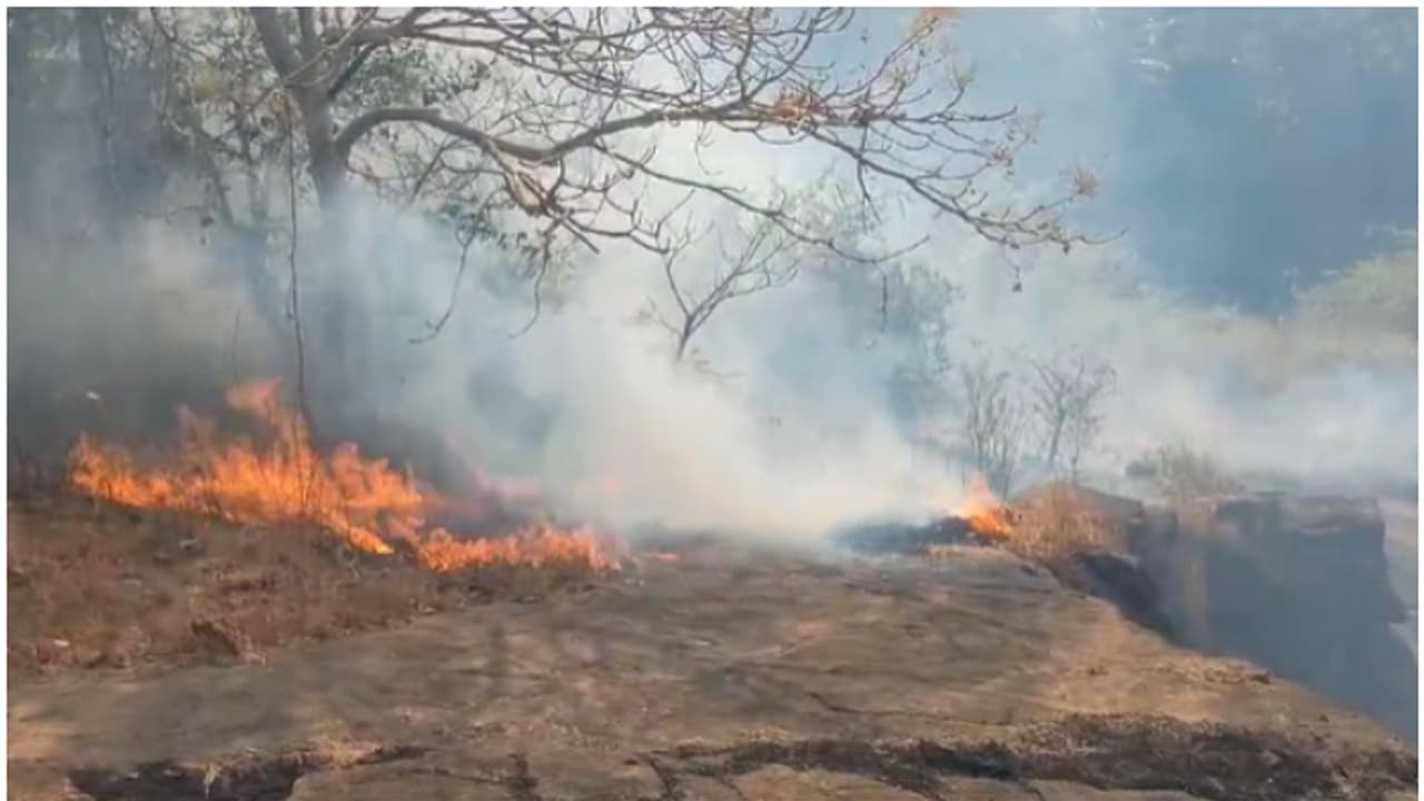 മലയിലെ അടിക്കാടുകള്‍ക്കും പുല്ലിനും തീ പിടിച്ചു; രണ്ട് യൂണിറ്റ് അഗ്‌നിശമന സേന എത്തിയത് രക്ഷയായി