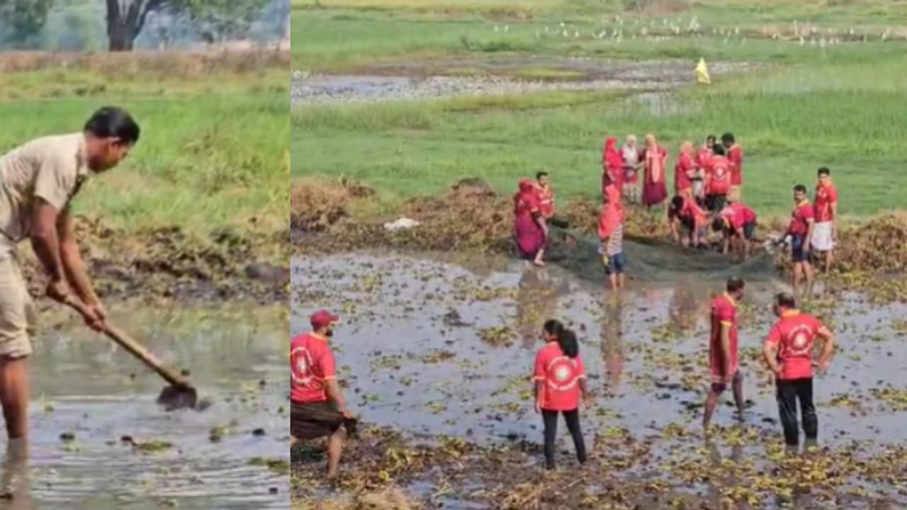 മുക്കത്തിന്റെ സ്വന്തം 'ഫയര് ഫാര്മേഴ്സ്', തരിശ് വയലില് കൃഷിയിറക്കി അഗ്നിരക്ഷാ സേന മുക്കത്തിന്റെ സ്വന്തം 'ഫയര് ഫാര്മേഴ്സ്', തരിശ് വയലില് കൃഷിയിറക്കി അഗ്നിരക്ഷാ സേന