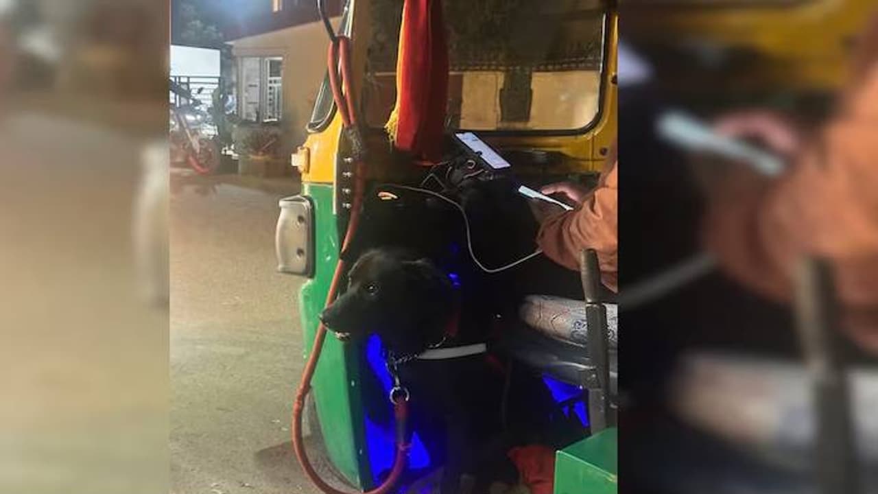 ഇതാണ് ജാക്കി, ഓട്ടോച്ചേട്ടന്റെ കൂടെ എപ്പോഴും കാണും; ഒറ്റപ്പോസ്റ്റിലൂടെ മനം കവർന്ന് നായ 